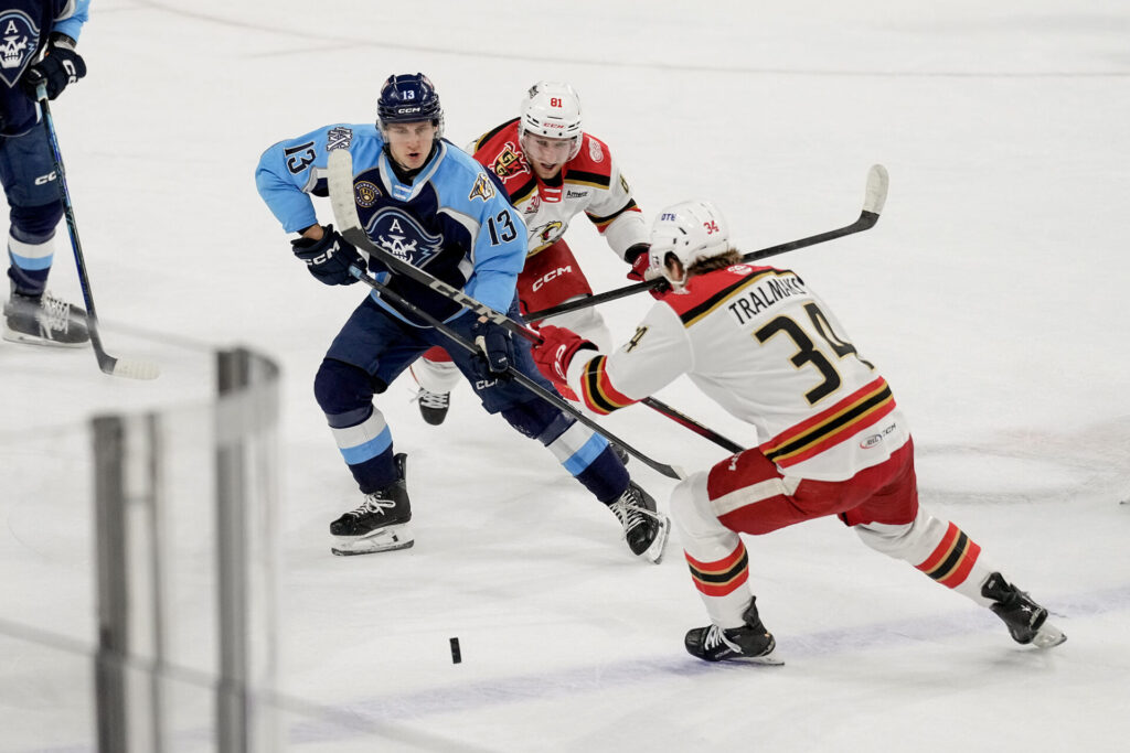 Eduards Tralmaks, hokejazinas.com