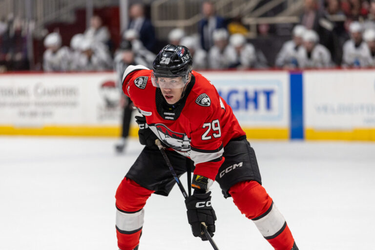 Sandis Vilmanis, hokejazinas.com