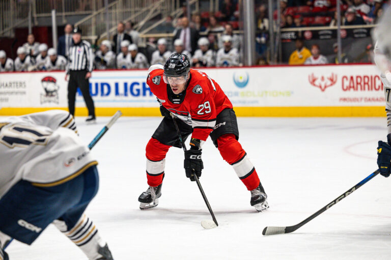 Sandis Vilmanis, hokejazinas.com