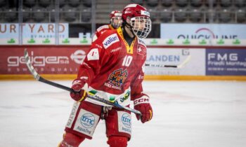 Daniels Reidzāns, hokejazinas.com