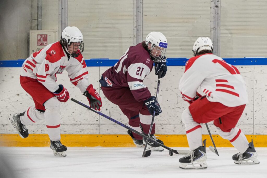 Dāvids Tarvids, hokejazinas.com