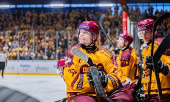 Edgars Kulda, Hokejazinas.com