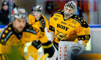 Gustavs Dāvis Grigals, Hokejazinas.com
