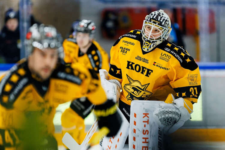 Gustavs Dāvis Grigals, Hokejazinas.com