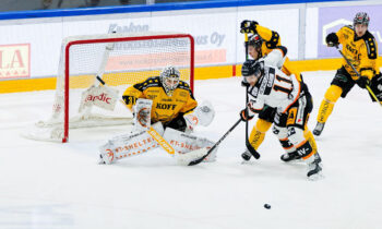Gustavs Dāvis Grigals, Hokejazinas.com
