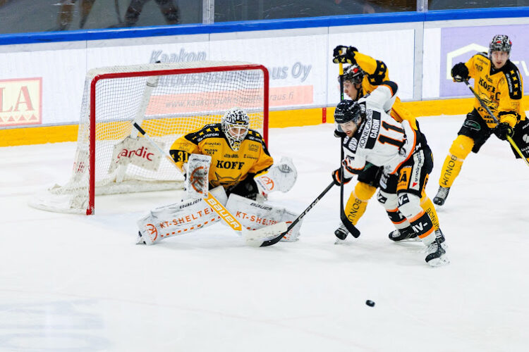 Gustavs Dāvis Grigals, Hokejazinas.com