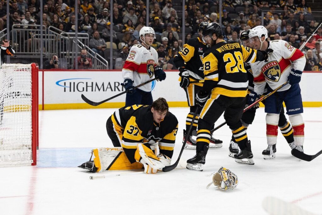 Artūrs Šilovs, hokejazinas.com