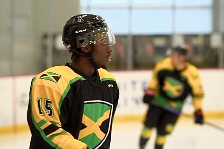 Malīks Makgovans, hokejazinas.com