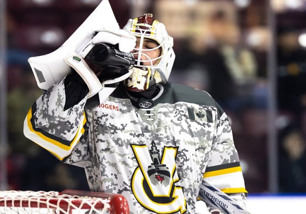 Mikus Vecvanags, Hokejazinas.com