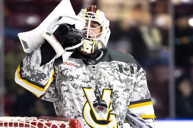 Mikus Vecvanags, Hokejazinas.com