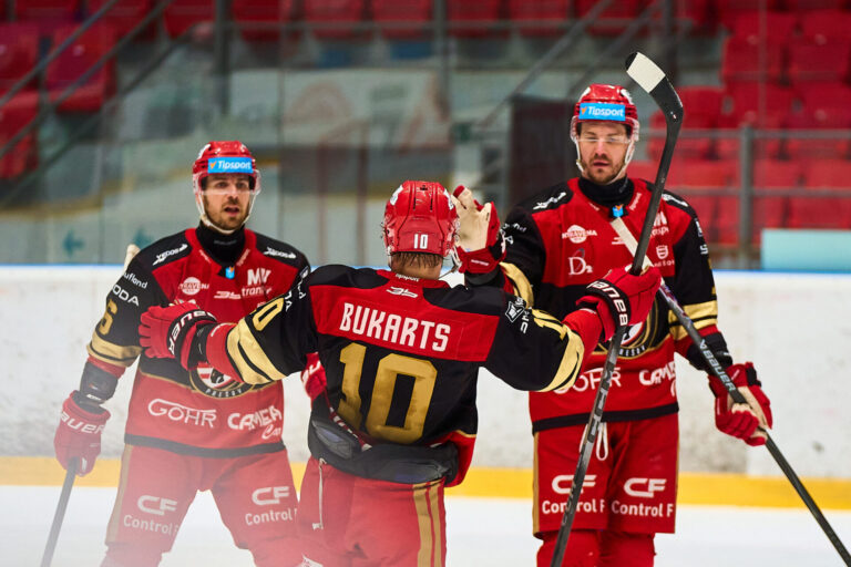 Rihards Bukarts un Miks Indrašis, Hokejazinas.com