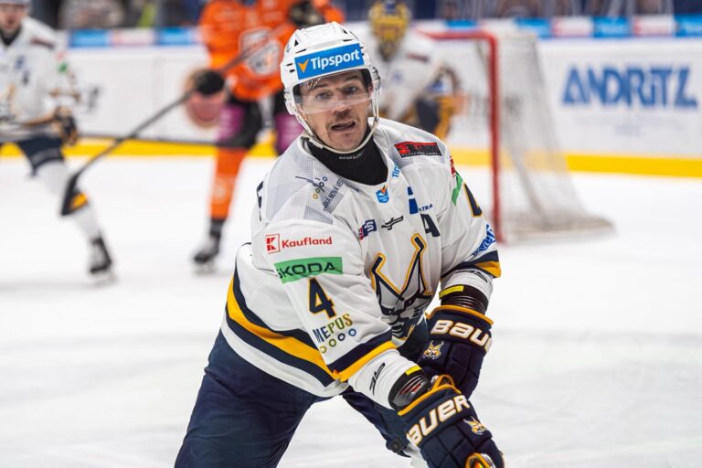 Nerijus Ališauskas, hokejazinas.com
