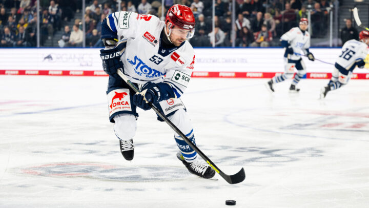 Alekss Trivellato