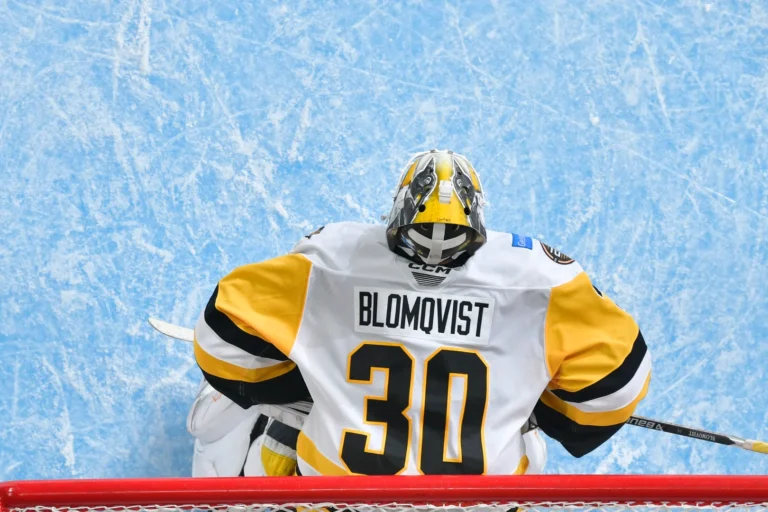 Džoels Blomkvists