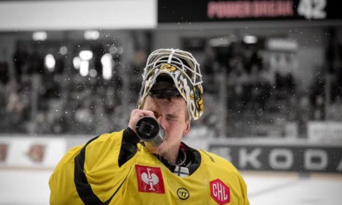 Gustavs Grigals, hokejazinas.com