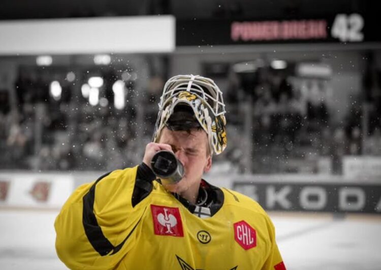 Gustavs Grigals, hokejazinas.com