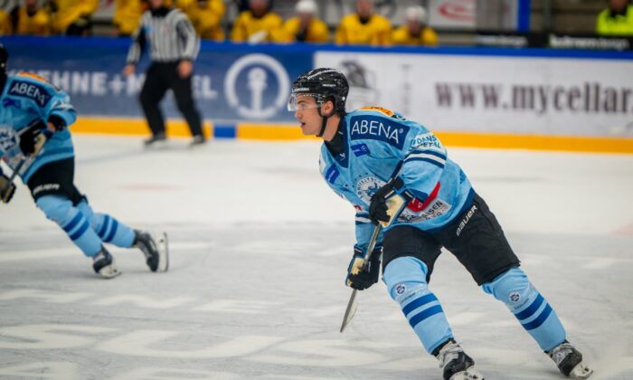 Raimonds Vītoliņš, hokejazinas.com