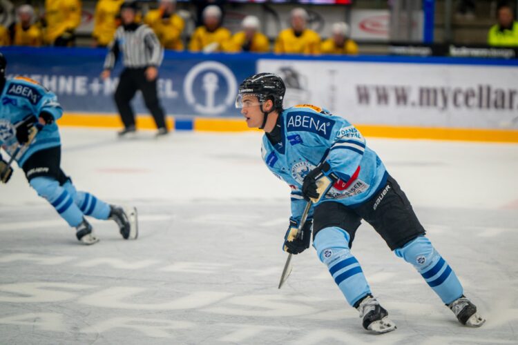 Raimonds Vītoliņš, hokejazinas.com