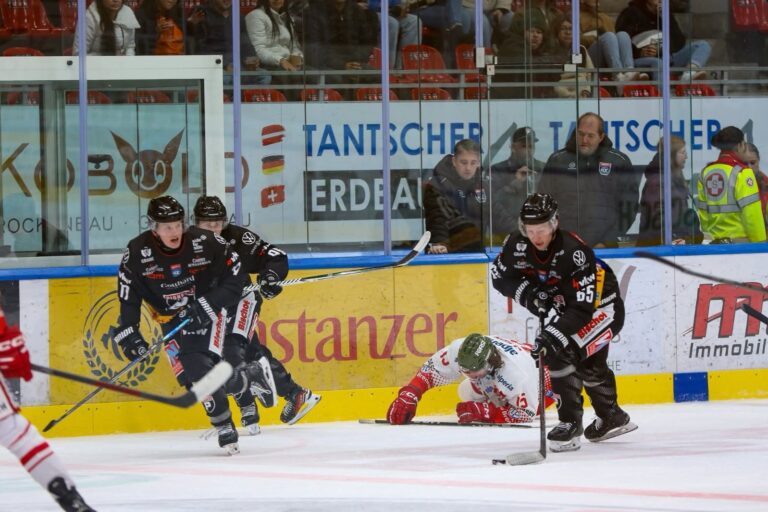 Arvils Bergmanis un Kristaps Skrastiņš, hokejazinas.com
