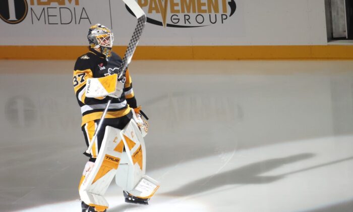 Artūrs Šilovs, hokejazinas.com