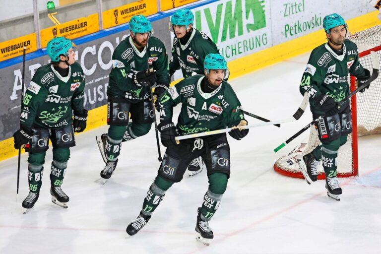 Bītigheimas-Bisingenas "Steelers"